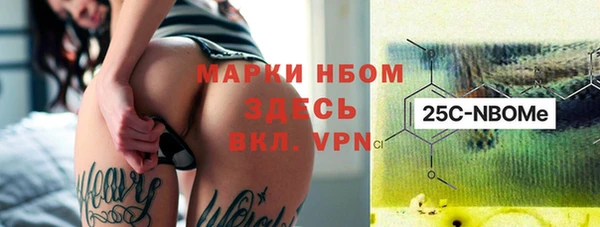 дживик Баксан