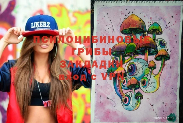 дживик Баксан